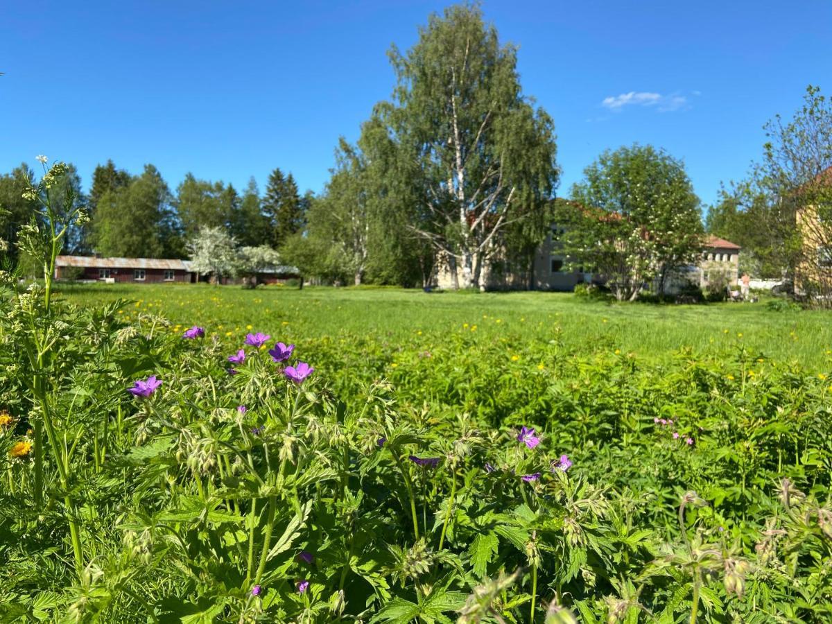Vojakkala Vandrarhem Haparanda Kültér fotó